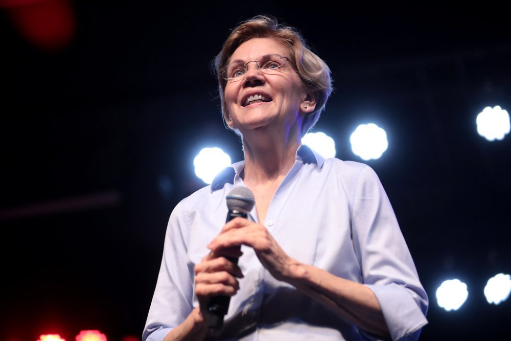 Diversity in the Democratic Presidential Election