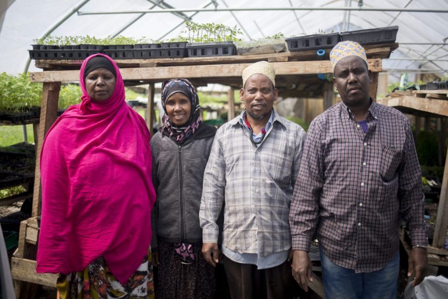 New Roots farmers Seynab Ali, Batula Ismail, and Abdi and Mohammed Abukar. 