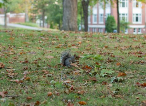 Little guy holding something invisible, potentially a microscopic sized version of our beloved 19th hole?