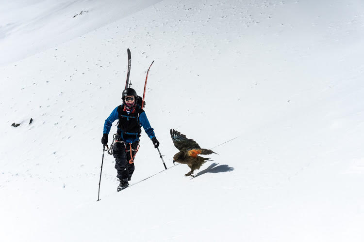 Owen Daniell ’21 backcountry skiing