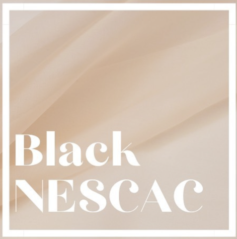 Workshop Introduces New BlackNESCAC Campus Group