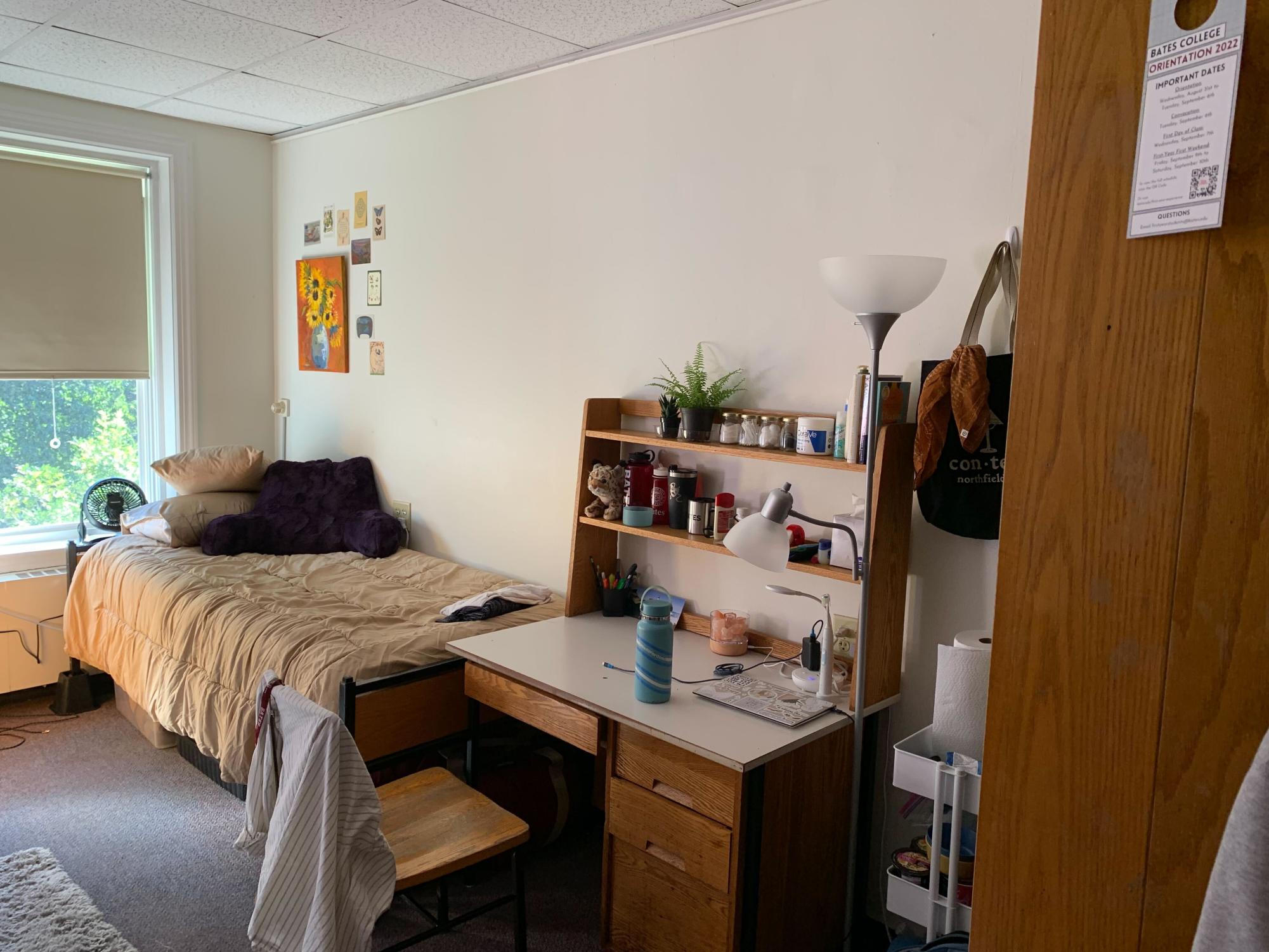 How Often Should I Vacuum My Dorm?