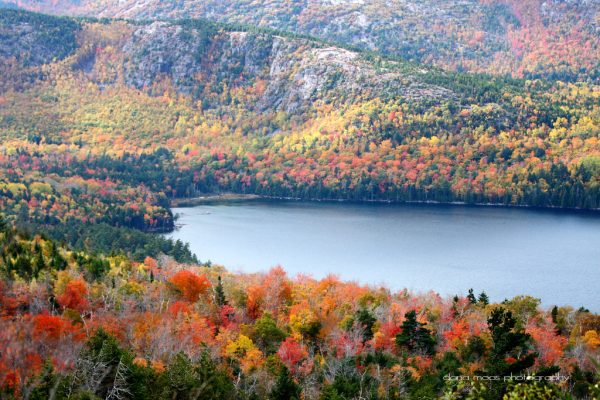 Suggestions for a Fun Maine Fall