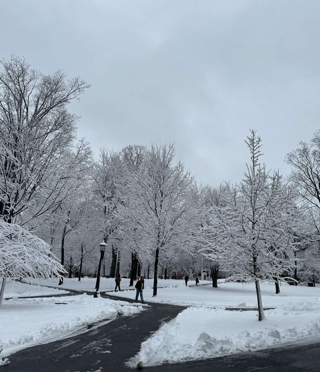 Snow covered Bates after a storm on Dec. 3 and 4.