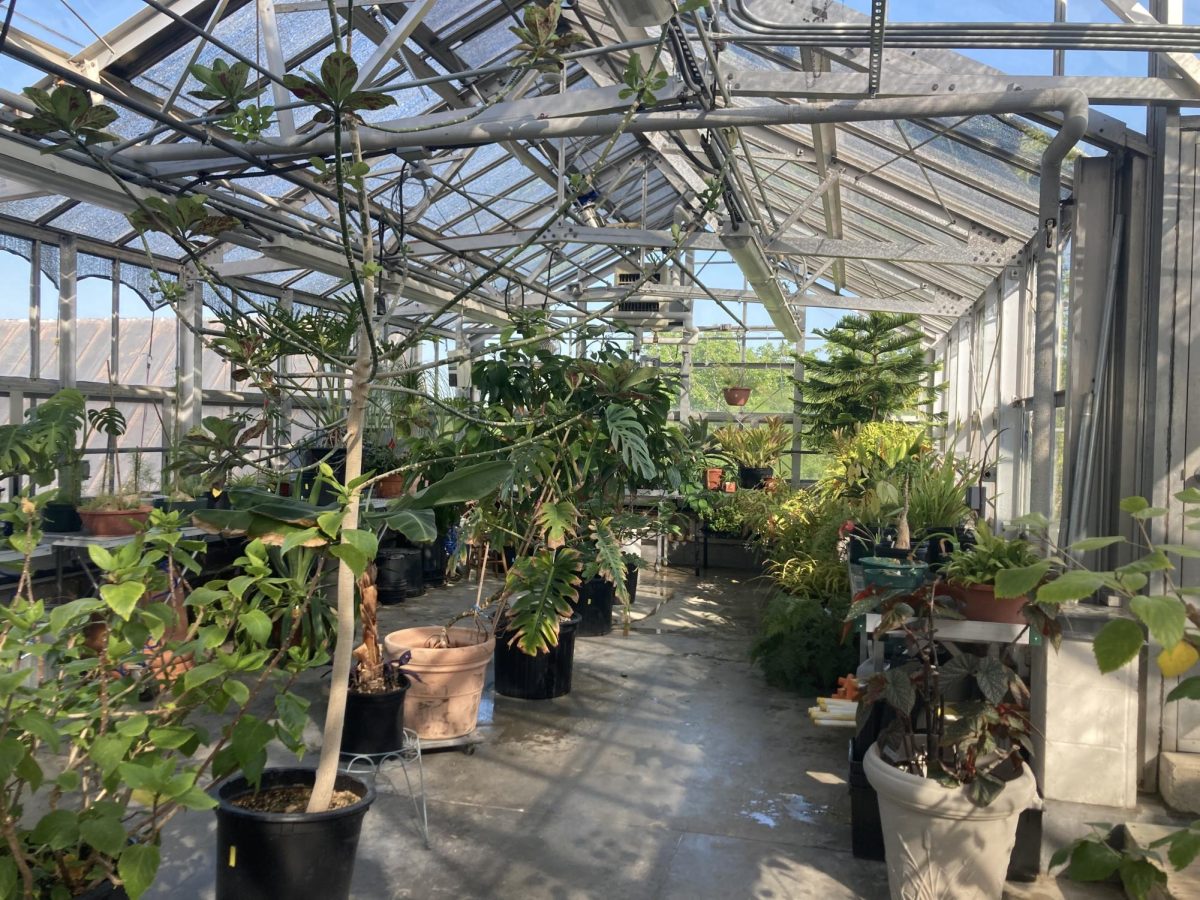 Picture of Carnegie Greenhouse.