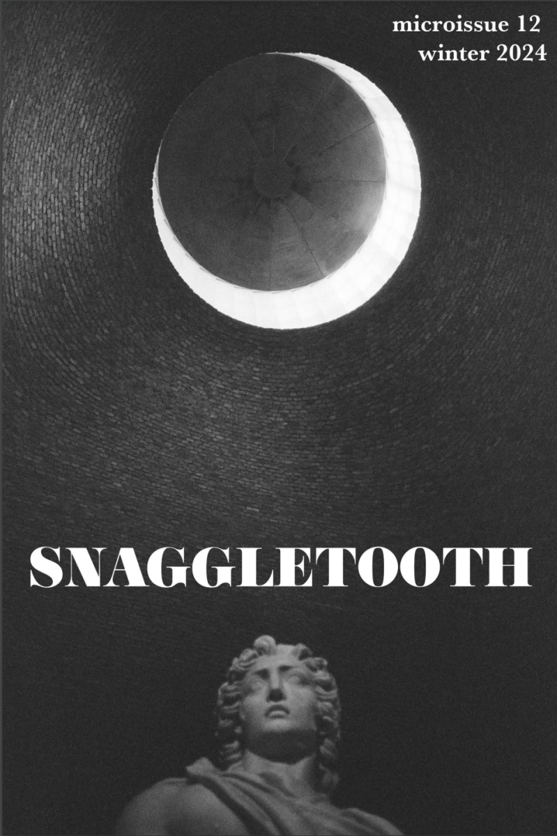 Screenshot of the Snaggletooth microissue 12, published winter of 2024. 