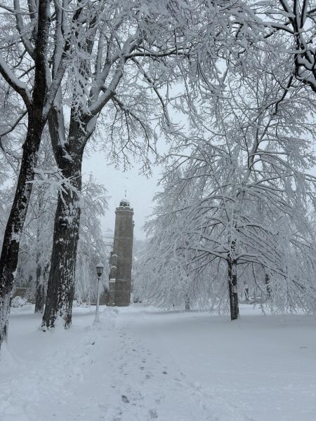 Photo of the snowy quad this morning. 