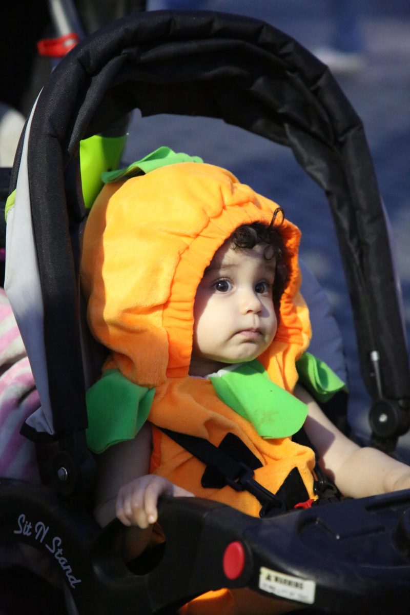 Lillie-ana poses in stroller dressed as a pumpkin.
