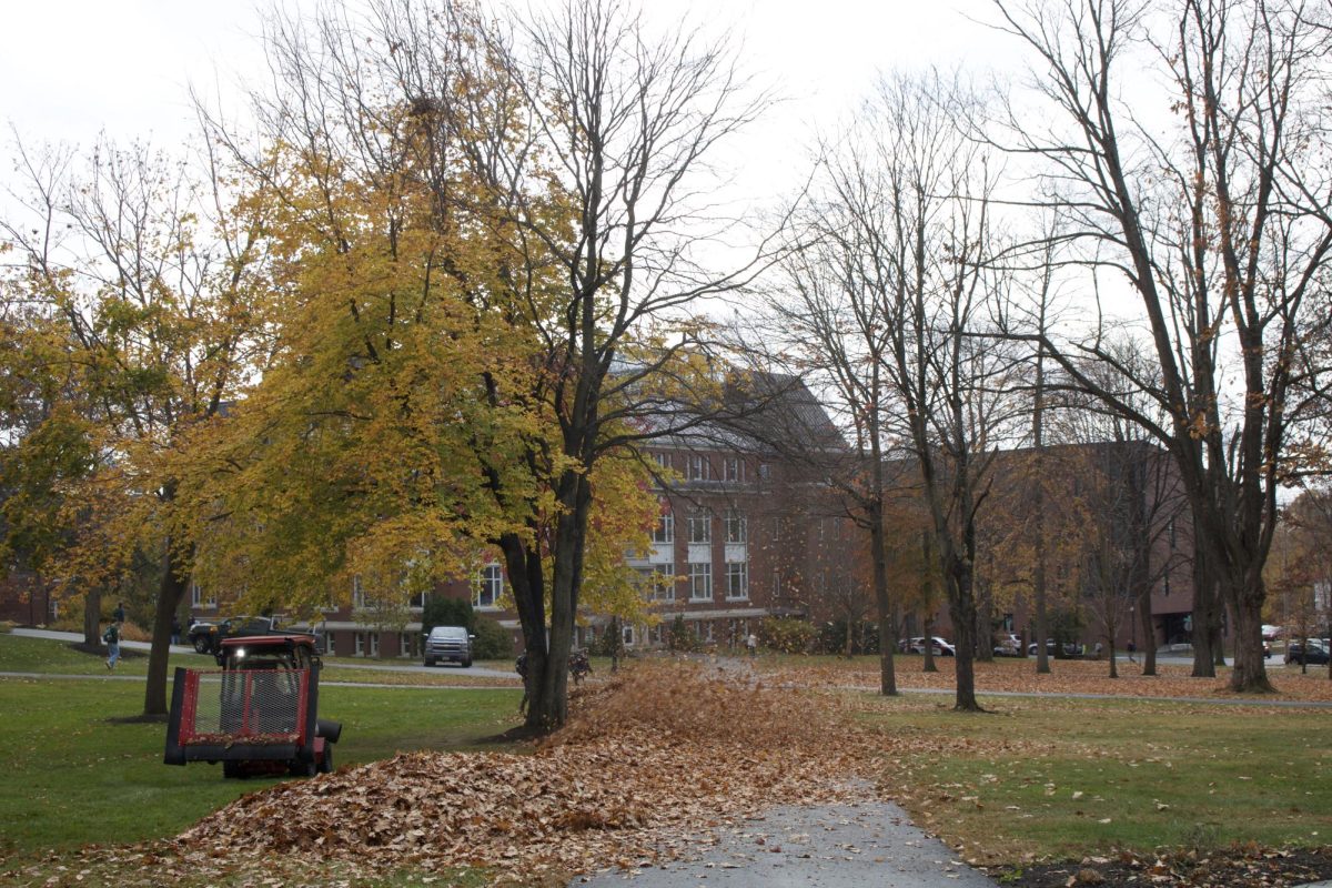 Quad leaf cleaning