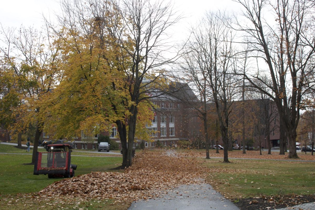 Quad leaf cleaning