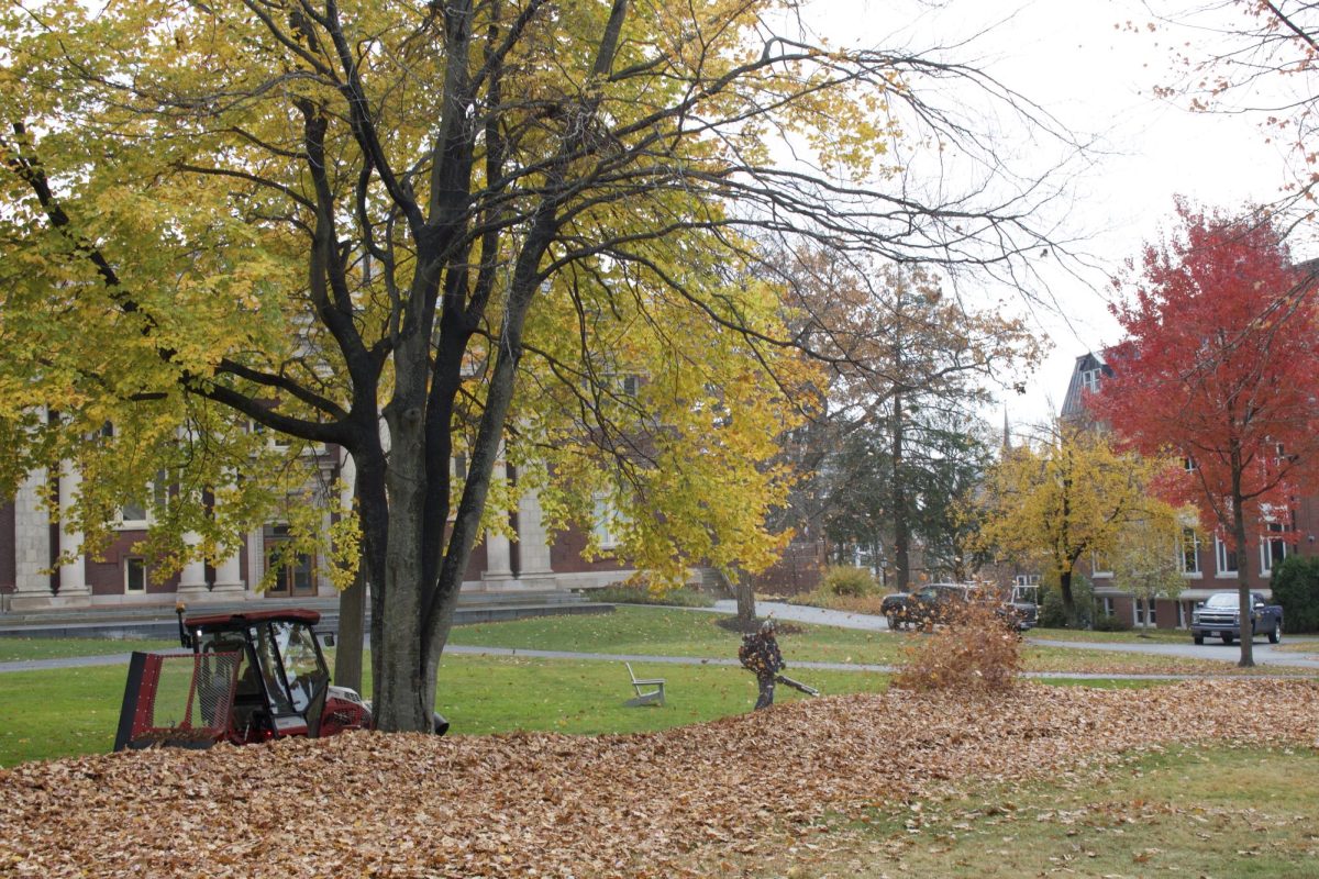 Quad leaf cleaning