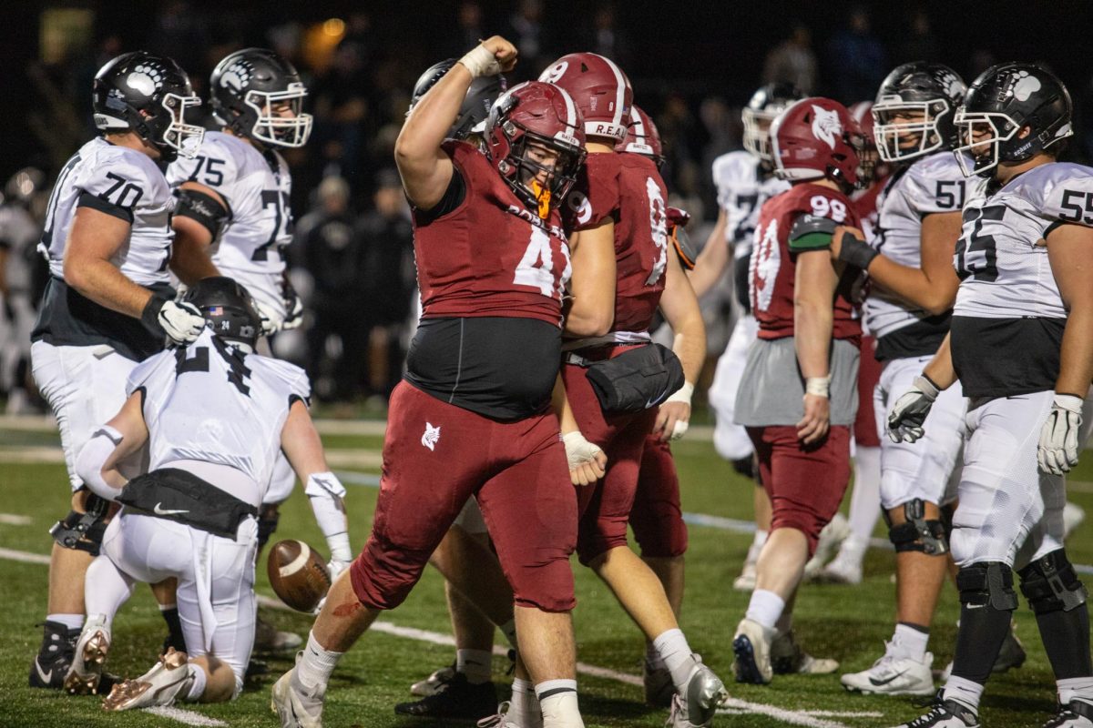 Defensive lineman Shane Broughton '26 celebrates a successful tackle in the second quarter. Bates fell short to Bowdoin in their annual faceoff on Nov. 2, losing 35-24 to the NESCAC rival.