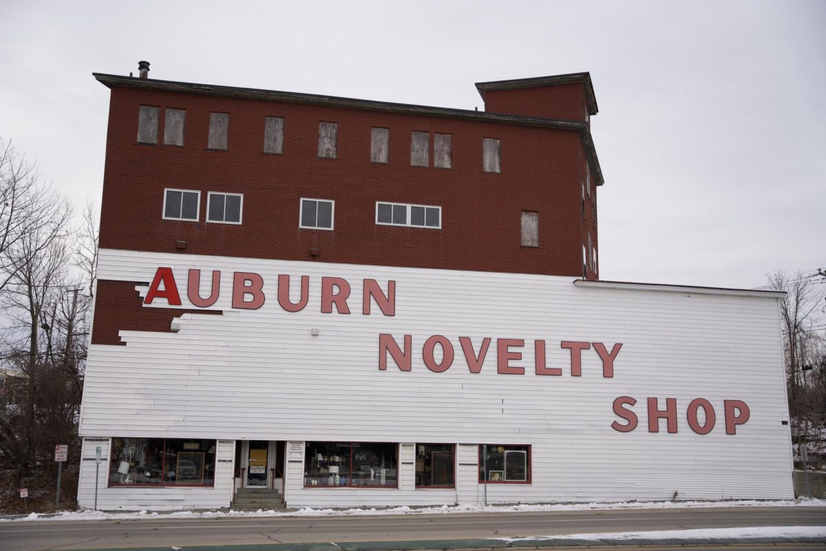 The Auburn Novelty Shop is the Strangest Store I've Ever Been To