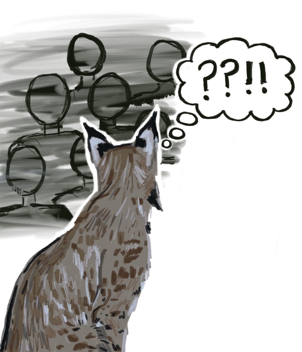 Digging Past Small Talk