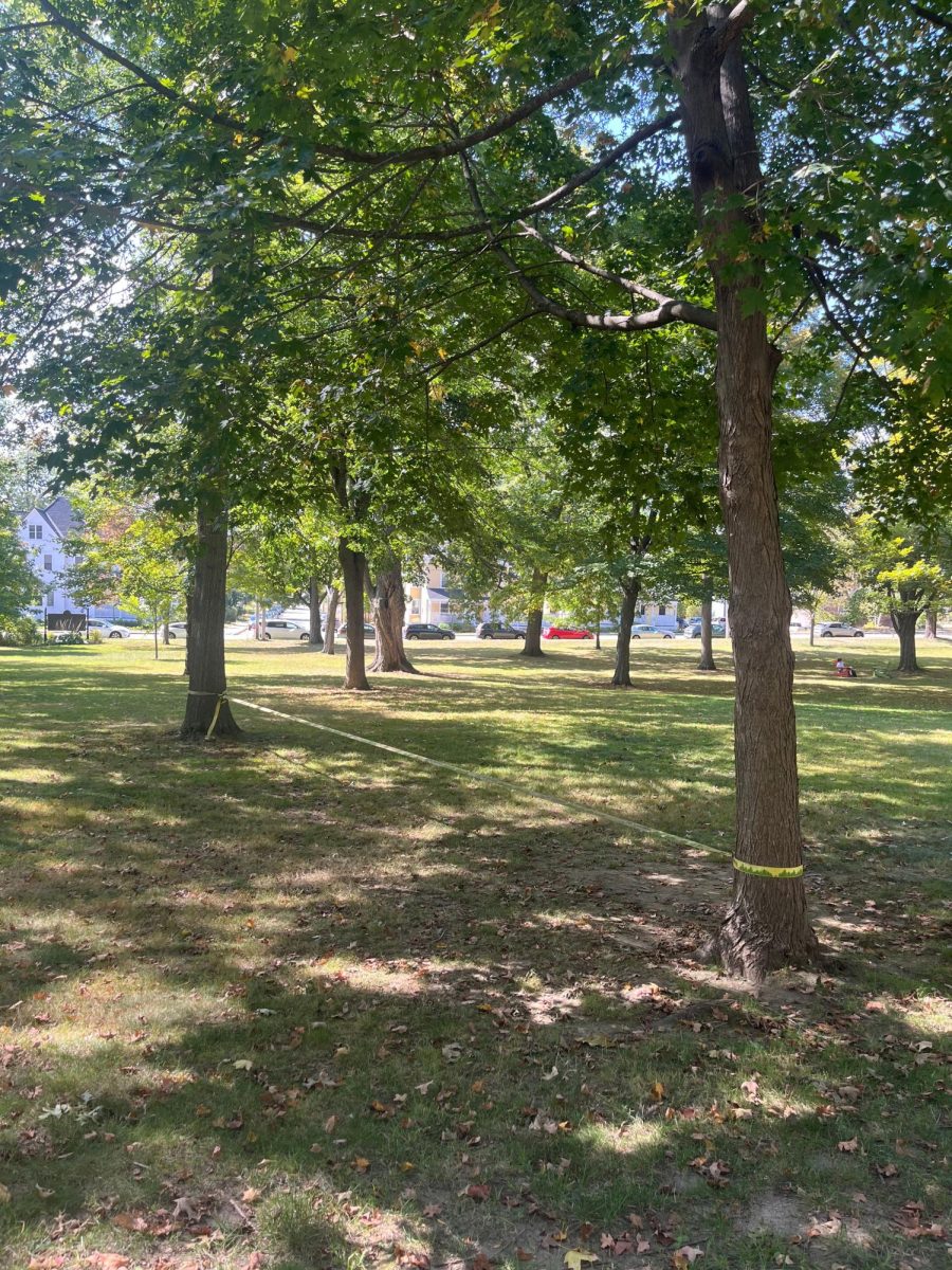 A flat webbing line used by "performative men" at Bates for slacklining on the quad. 