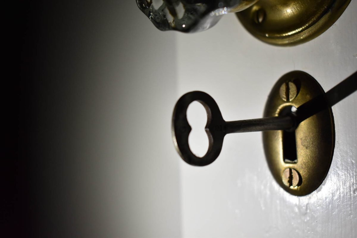 A key is unlocking a door.