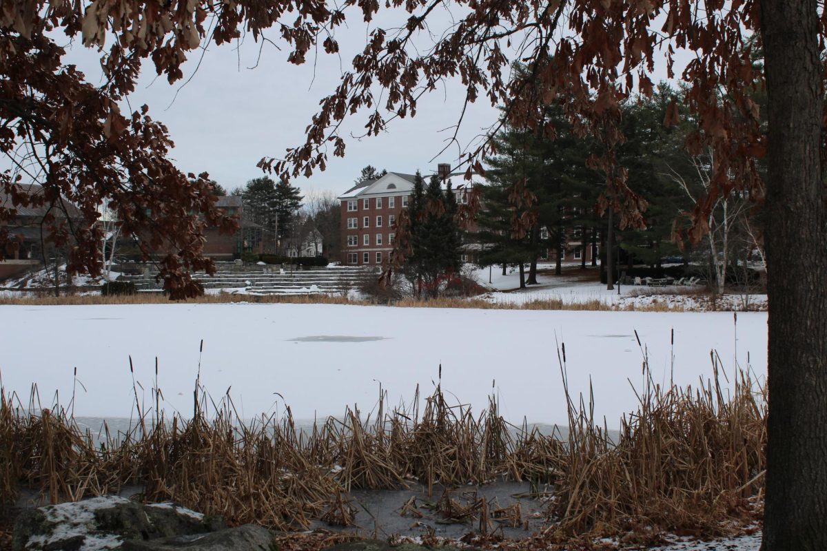 "The Puddle" frozen over, a common sight on campus during the winter months.