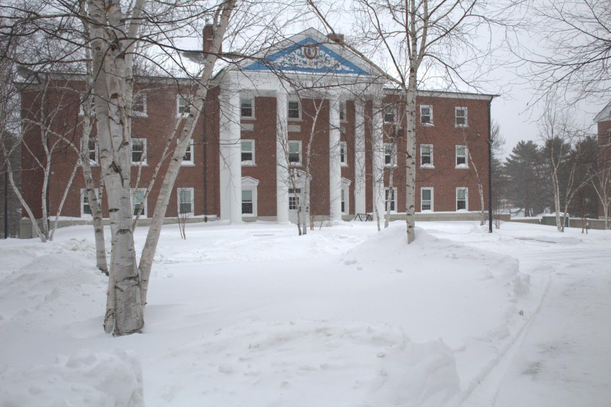 Lane Hall and surrounding Birch trees as seen from Alumni Walk.